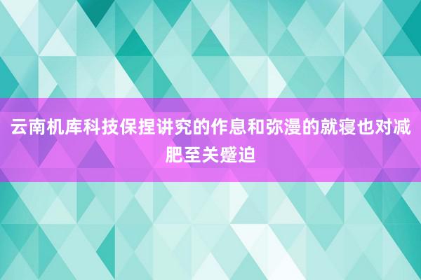 云南机库科技保捏讲究的作息和弥漫的就寝也对减肥至关蹙迫